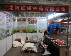 �t����ˎ��2013���Ͼ�ֲ��չ�ϴ�չ��D