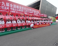 ��29��ֲ�������r(n��ng)���W(w��ng)���ݚw��