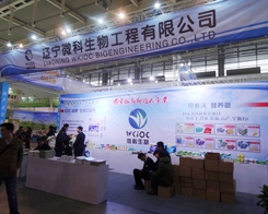 ΢�����Ͼ�ֲ�������A�ÿ͑��ĸ߶��P(gu��n)ע