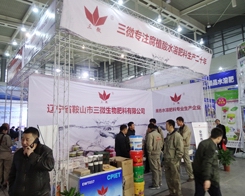 ��΢������29��ֲ�������A���Ñ���A