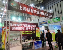 �Խ�r(n��ng)�I(y��)�ڶ�ʮ�Ō��Ͼ�ֲ�����Ϲ�������