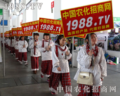 1988.TV��2014�|��ʡ���ϕ����Ĝ�(zh��n)��