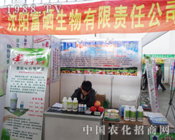 ��������ӵ�ʮ����ꖷ����p����