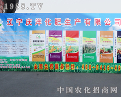 �c�󻯷��ڵ�ʮ�����(y��ng)�����p����(hu��)�ϴ������M(j��n)