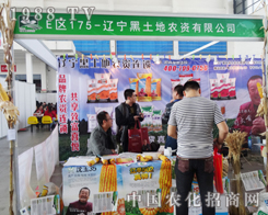 �������r(n��ng)�Y�e�O���ӵ�ʮ����ꖷ��ϕ�