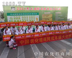 ��ʮ�����(y��ng)���ϕ�(hu��)�ϵ��r(n��ng)����