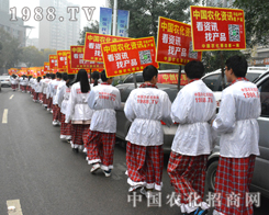 �r(n��ng)���W(w��ng)�e�O����2014ɽ�|ֲ����(hu��)