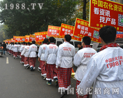 2014ɽ�|ֲ����(hu��)���_(k��i)��Ļ �r(n��ng)���W(w��ng)�F(xi��n)��(ch��ng)����