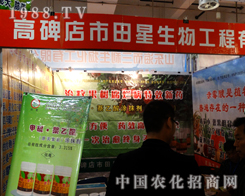 �����������ą����˵�20��ɽ�|ֲ����(hu��)