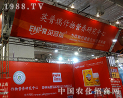 Ӣ������2014�����ֲ�����ϼ�(x��)�Ĺ���