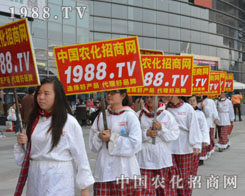 ����ʮ��ֲ����(hu��)�����r(n��ng)���˶�־���P(y��ng)