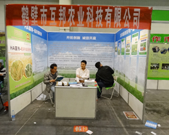 �����r(n��ng)�I(y��)����ò�����11�ú�����ԭ���ϕ�