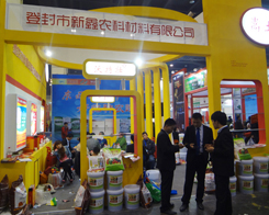 �����r���A���F(xi��n)����11�����ݷ��ϕ�