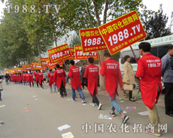 ɽ�|ֲ�������ഺ���҂���(zh��n)����������