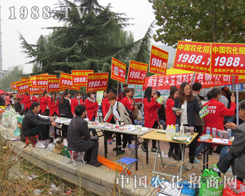 2015ɽ�|ֲ����1988�r(n��ng)���W(w��ng)С����������