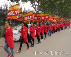 2015ɽ�|ֲ����1988�r(n��ng)���W(w��ng)С�������������