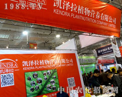 Ӣ��(gu��)�P����ֲ��I(y��ng)�B(y��ng)�����21��ɽ�|ֲ����(hu��)