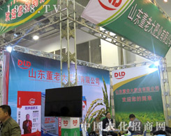 ���ϴ�ʘI(y��) ��21�Ý�(j��)��ֲ����(hu��)�ϵ�