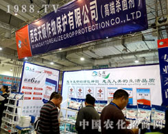 ������T�����������21��ɽ�|ֲ����