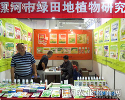 �G��أ����|(zh��)�������棬�����u��l(f��)չ��