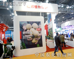 �Ű�e�O���(zh��n)2015ֲ����(hu��)