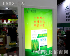 �������2015ֲ����(hu��)�ϱM��չ�F(xi��n)�������L(f��ng)��