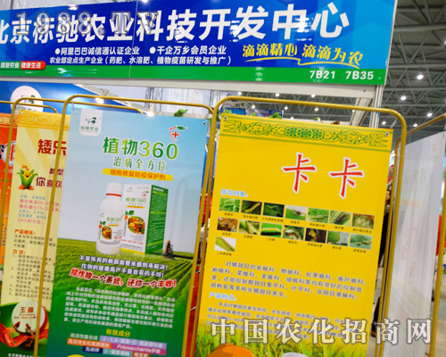 2015ֲ������(bi��o)�Y�r(n��ng)�I(y��)��Ů���