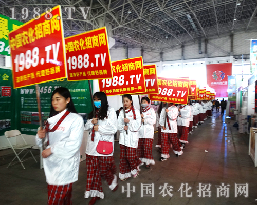 С���(y��ng)�(du��)����2015�ӱ�ֲ���p����(hu��)���@�tɫ������ɫ