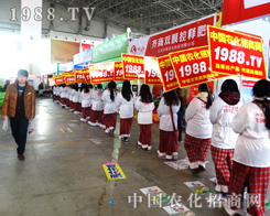 �ڶ�ʮ�ߌúӱ�ֲ����(hu��)1988����ֱǰ