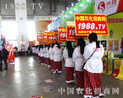 �r(n��ng)�����̾W(w��ng)��2015�ӱ�����ֲ����(hu��)�ǿɐ۵���