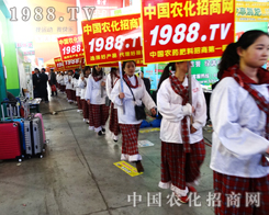 2015�ӱ�����ֲ���p����(hu��)���҂����G�ؼ�