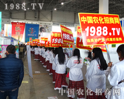 ��27�úӱ�����ֲ����(hu��)������1988�ľ���