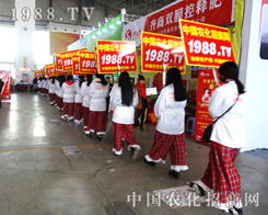 ��27�Ü���ֲ����1988�r���W��֮�o����������ģ