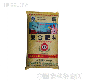 ����-�ͺϷ�