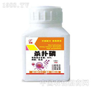 �ӱ��r(n��ng)�Y-������