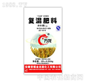 ����?ji��n)?40%��(f��)�����