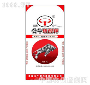 ��������-50%�����