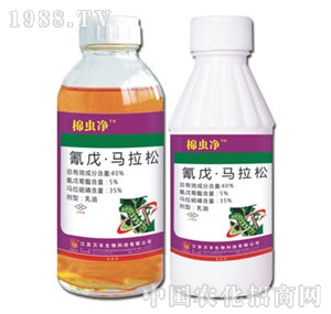 �f�S�r(n��ng)��-���x��