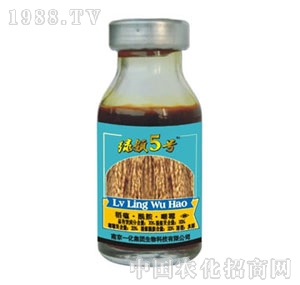 �Ͼ�һ��-�G�I(l��ng)5̖(h��o)