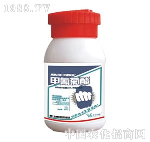 �Ͼ�һ��-�������