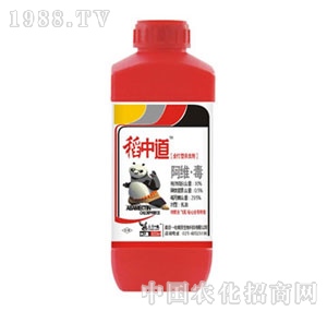 �Ͼ�һ��-���е�