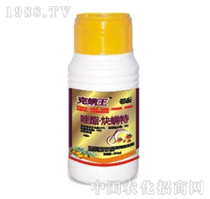 ���r�r��-����������Ȳ����