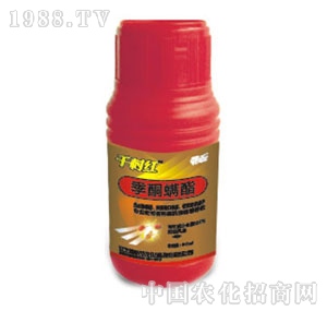 ���r�r��-ǧ��t��ͪ����