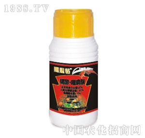 ���r�r��-�����@��������ͪ