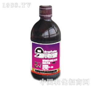 ���r(n��ng)�r(n��ng)��-�����װ���