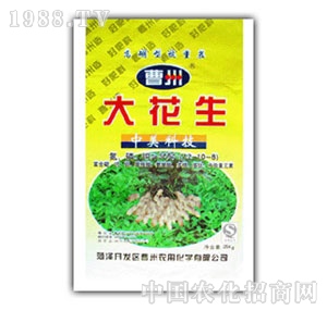 �����r(n��ng)��-������(f��)�Ϸ�12-10-8