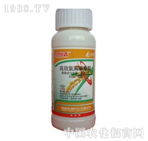 ���u�S��-�x(ch��ng)͑��