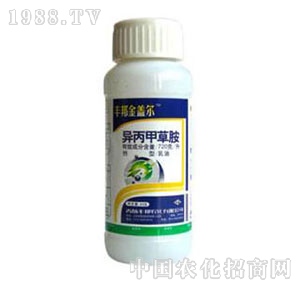 ���u�S��-���w��