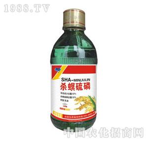 ��򸻰�����-��������