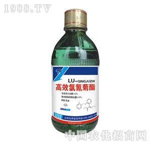 ��򸻰�����-�������